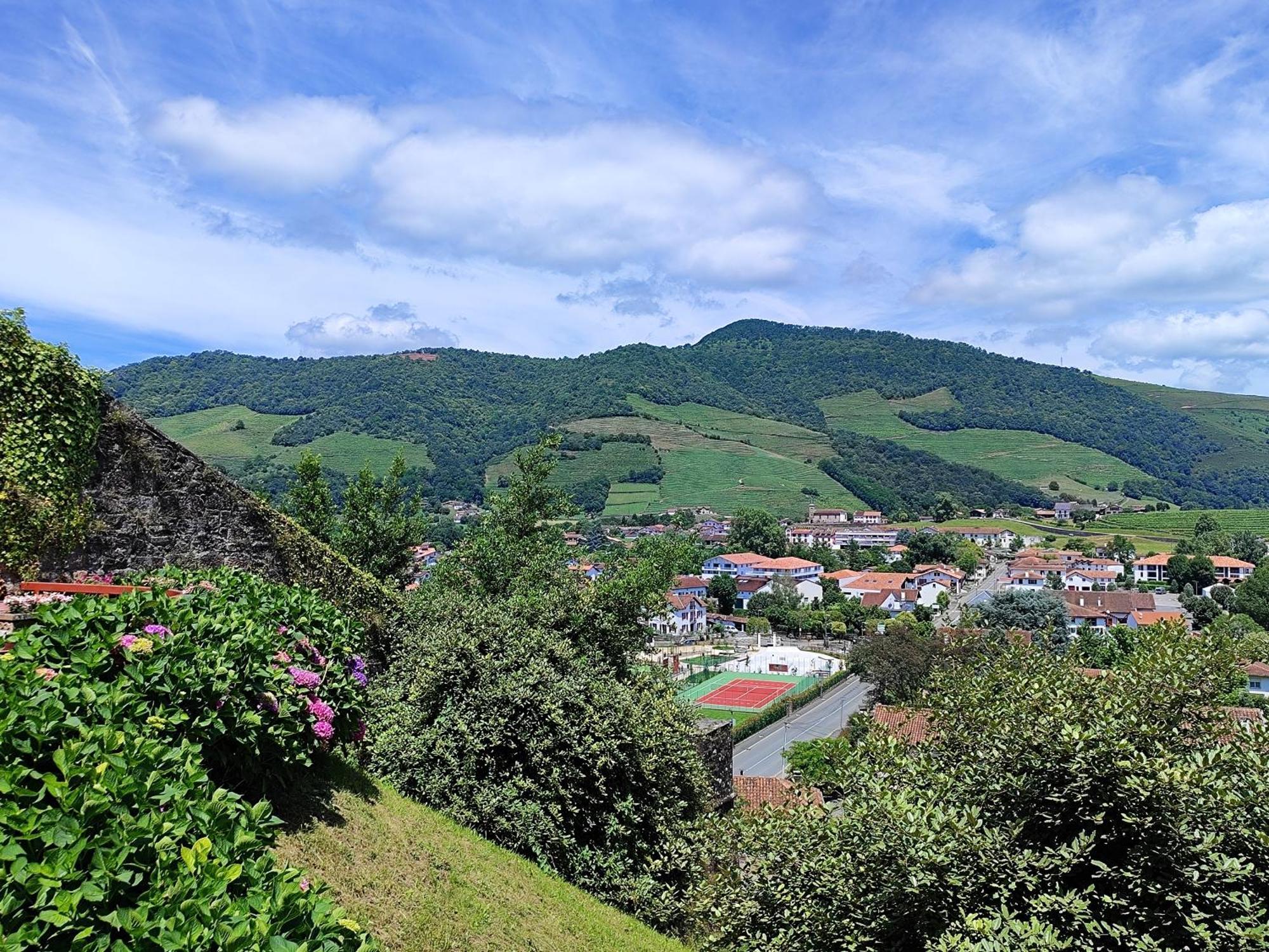 L'Auberge Du Pelerin - St Jean Pied De Port Saint-Jean-Pied-de-Port Eksteriør bilde